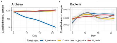 Comparative analysis of macroalgae supplementation on the rumen microbial community: Asparagopsis taxiformis inhibits major ruminal methanogenic, fibrolytic, and volatile fatty acid-producing microbes in vitro